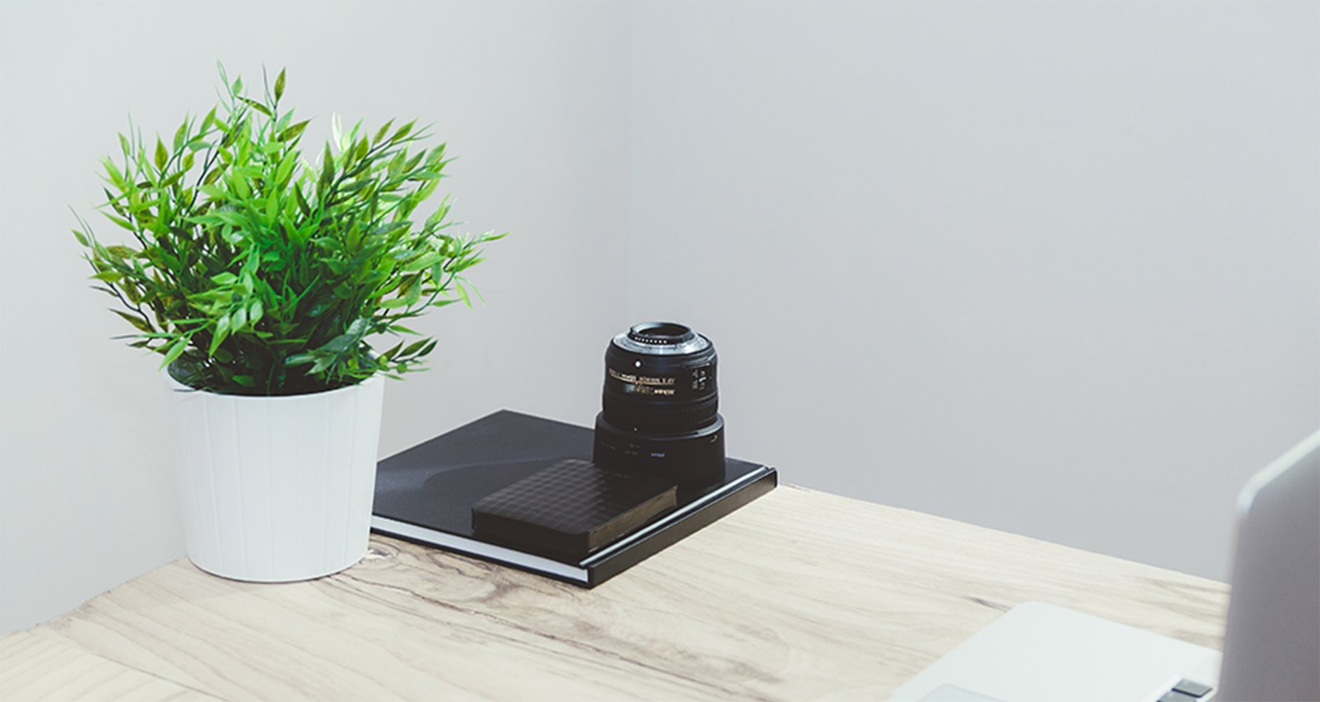 Plant on desk with some books and a camera lens behind it
